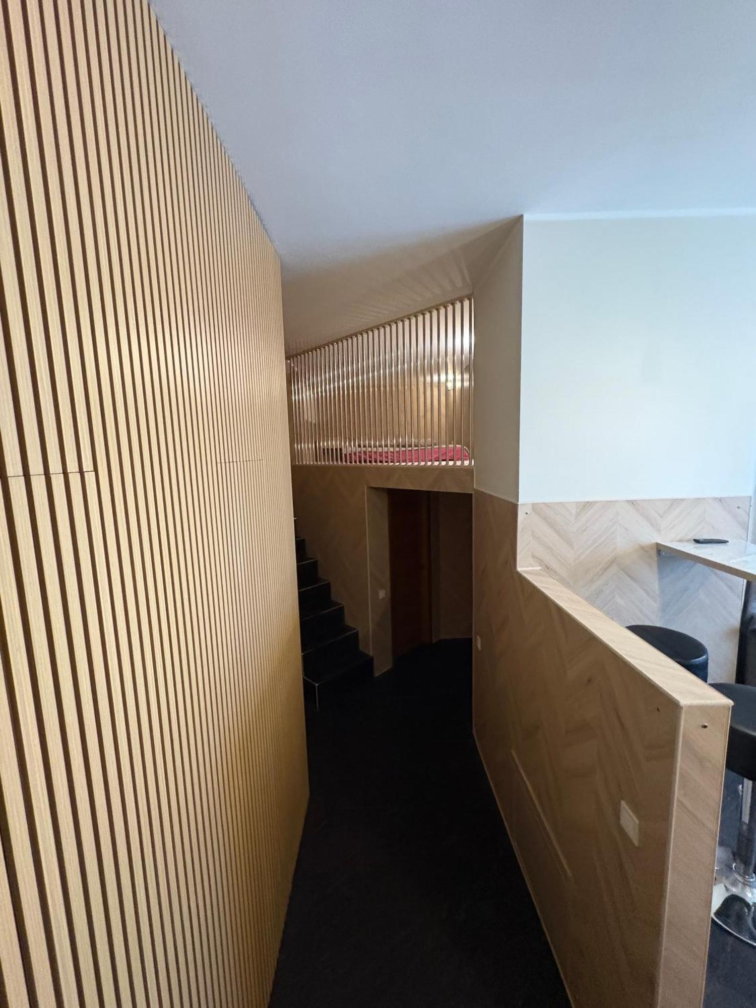 Cat Garden Premium Apartments 里加 外观 照片