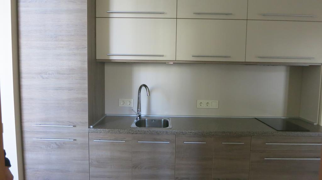Cat Garden Premium Apartments 里加 外观 照片